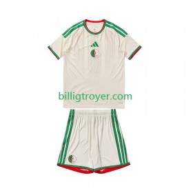 Billige Fotballdrakter Algerie Barn Hjemmedraktsett 2026 Kortermet